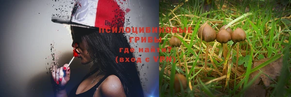 ALPHA PVP Богородицк