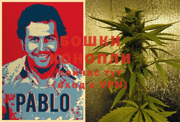 ECSTASY Богородск