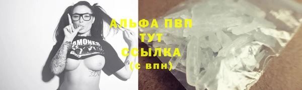 ECSTASY Богородск