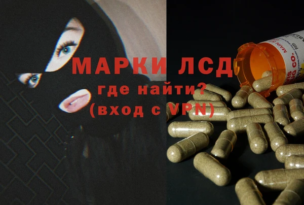 ECSTASY Богородск