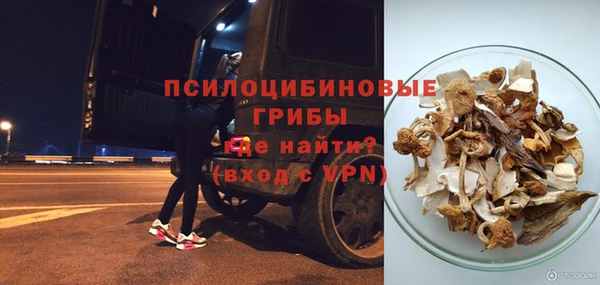 ECSTASY Богородск