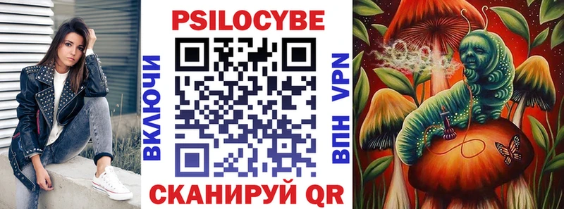 Купить где  Собинка  Галлюциногенные грибы Cubensis 